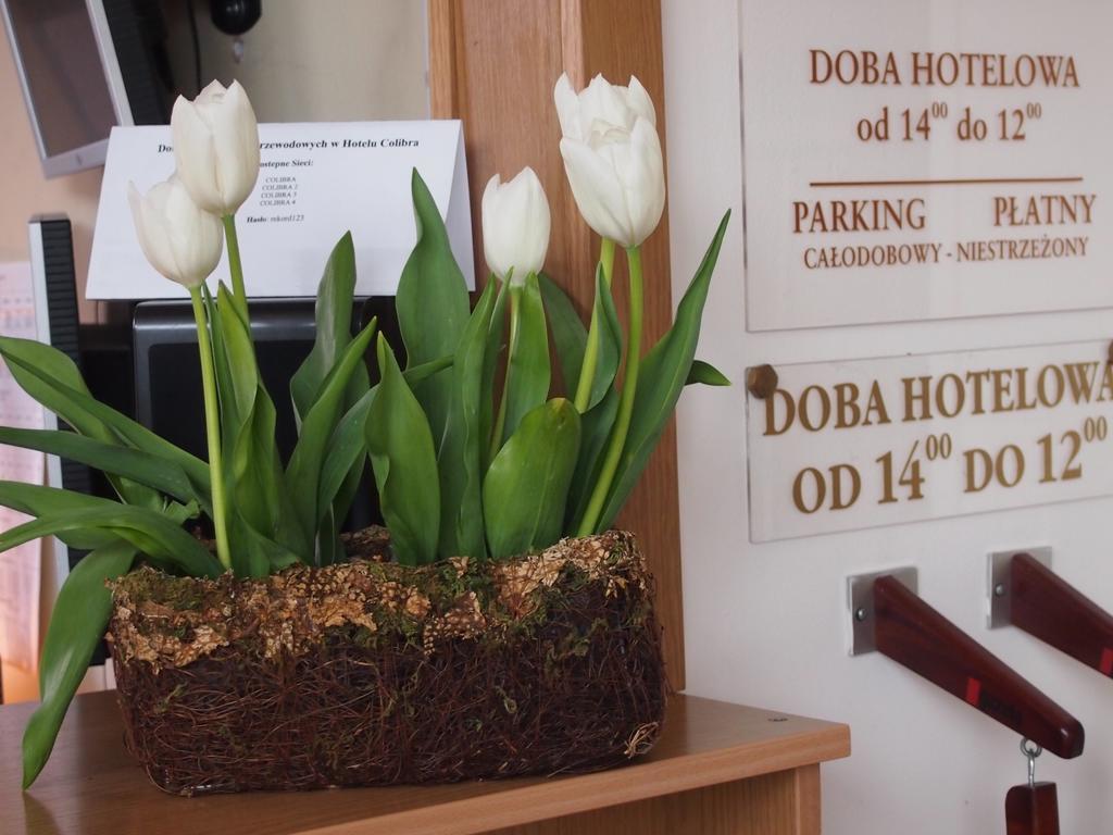 ורשה Hotel Colibra מראה חיצוני תמונה
